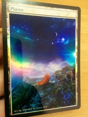 Plains #11 Foil Extended
